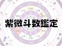 紫微斗数鑑定